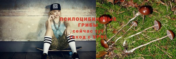 эйфоретик Алексеевка