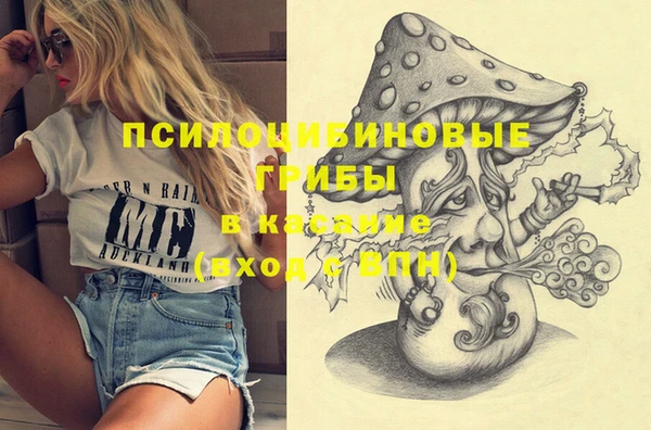 эйфоретик Алексеевка