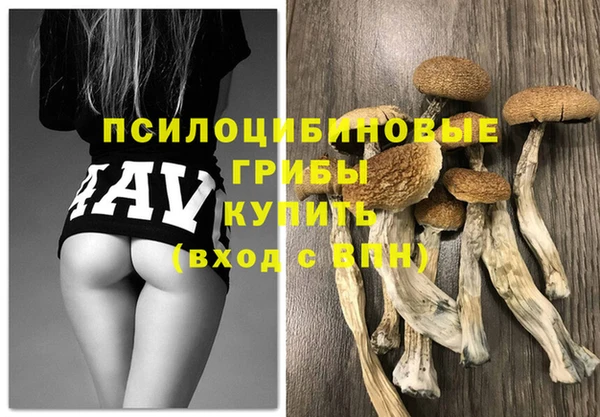 эйфоретик Алексеевка
