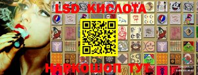 ALPHA PVP Кудрово