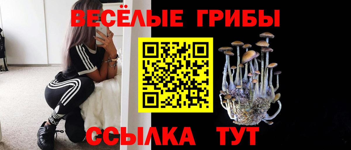 Псилоцибиновые грибы Magic Shrooms  купить наркотики сайты  Сочи  Псилоцибиновые грибы GOLDEN TEACHER  Вход с VPN 